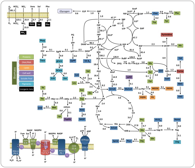 Figure 2