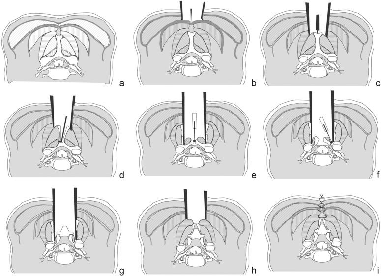 Fig. 5