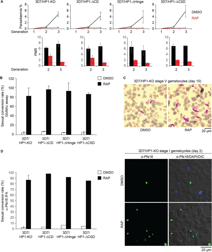 FIG 3