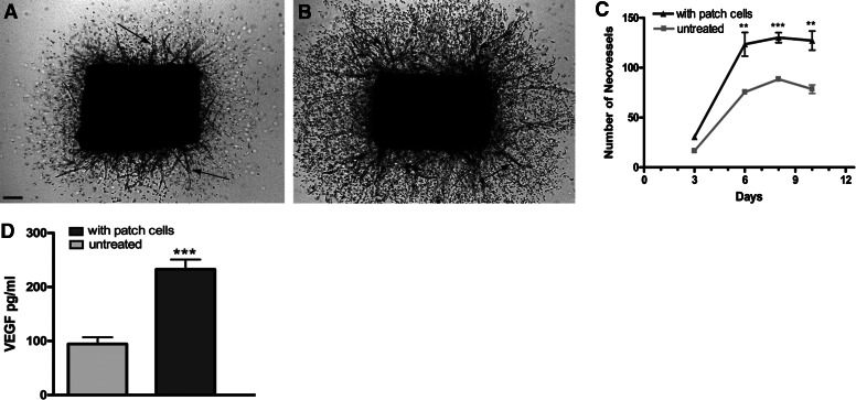 Figure 6.