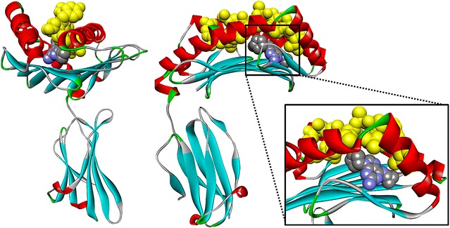 Fig. 2