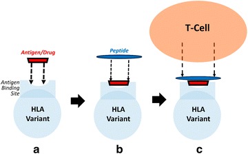 Fig. 1