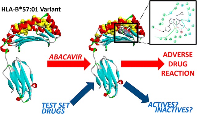 Graphical abstract