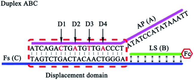 Fig. 1