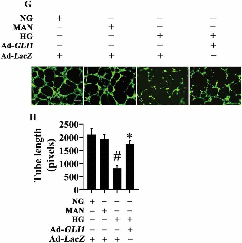 Figure 9.