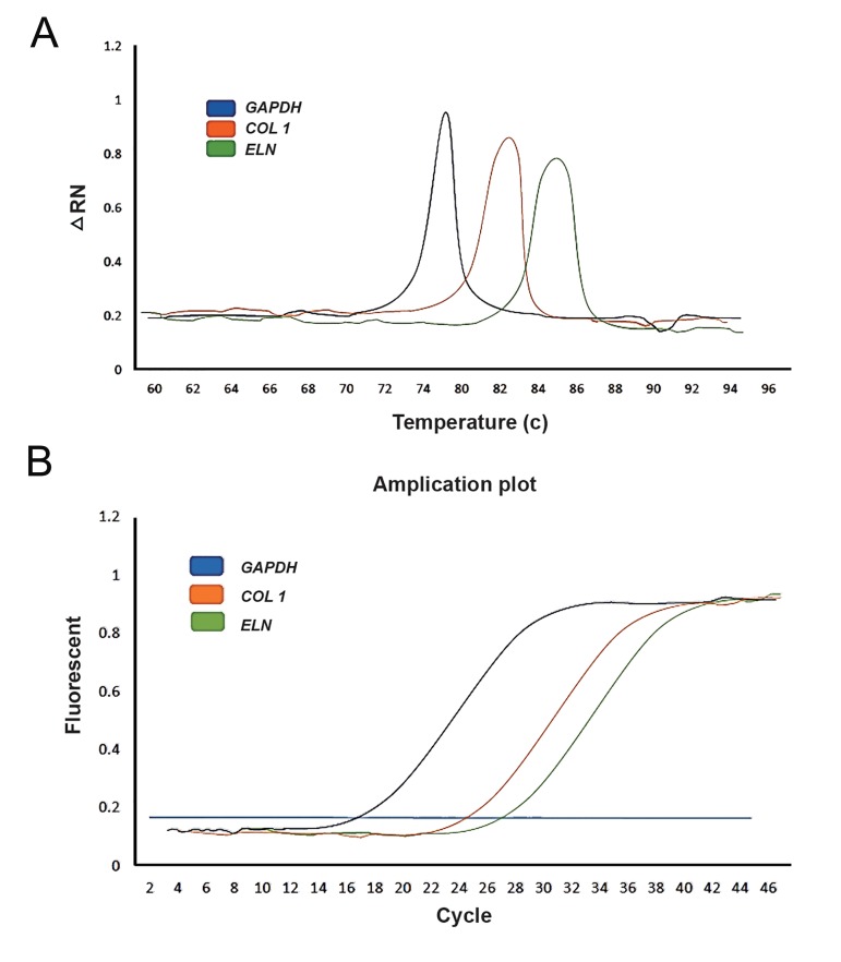 Fig.3