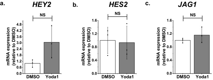 Figure 3—figure supplement 1.