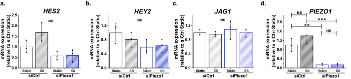 Figure 4—figure supplement 1.