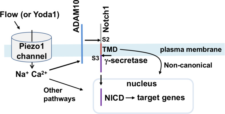 Figure 5.