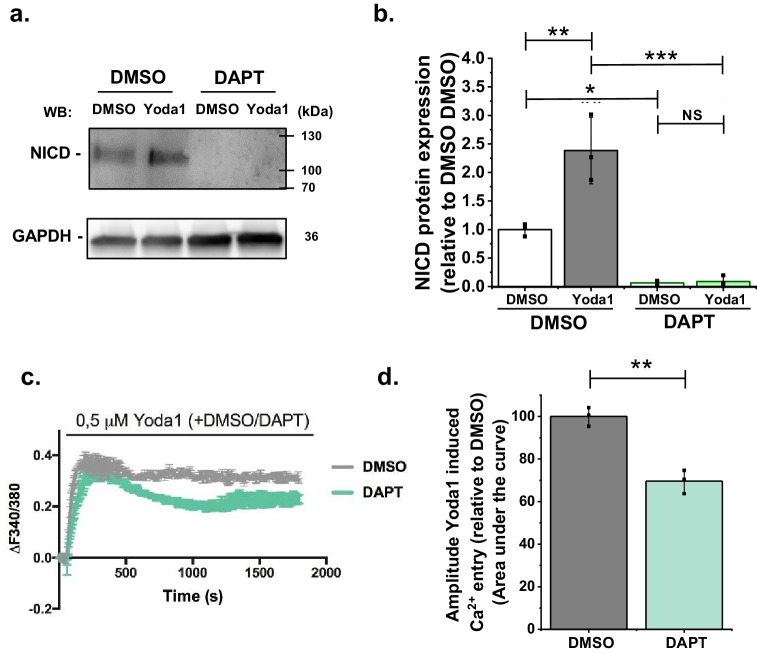 Figure 1—figure supplement 4.