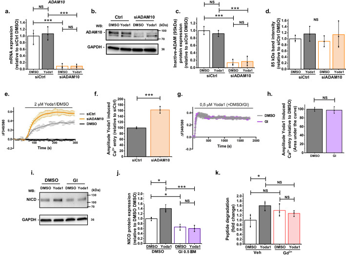 Figure 2—figure supplement 2.