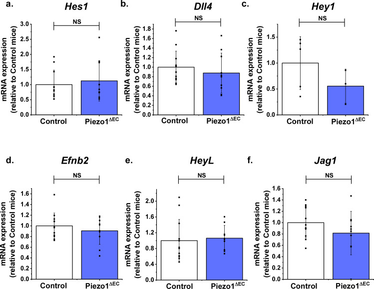 Figure 4—figure supplement 3.