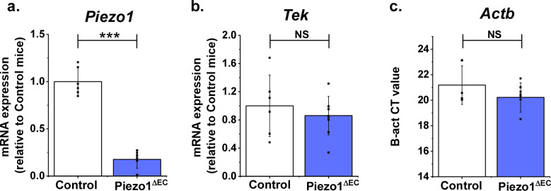 Figure 4—figure supplement 2.