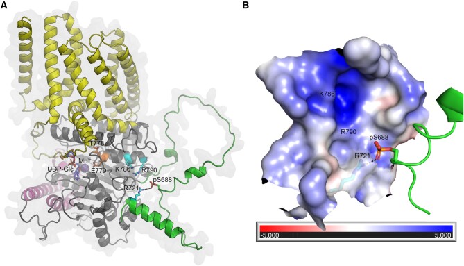 Figure 6.