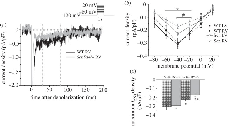 Figure 6.