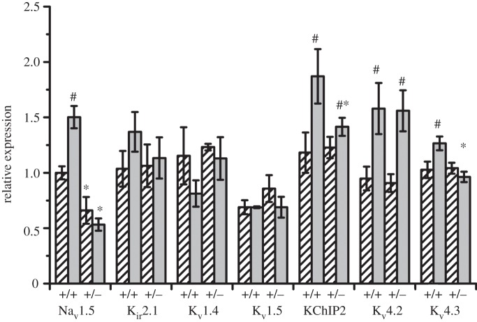 Figure 1.