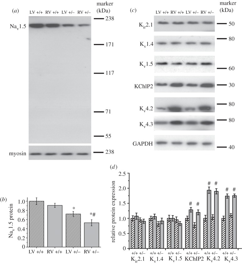 Figure 2.