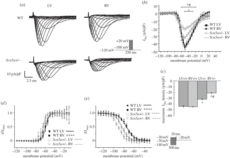 Figure 5.