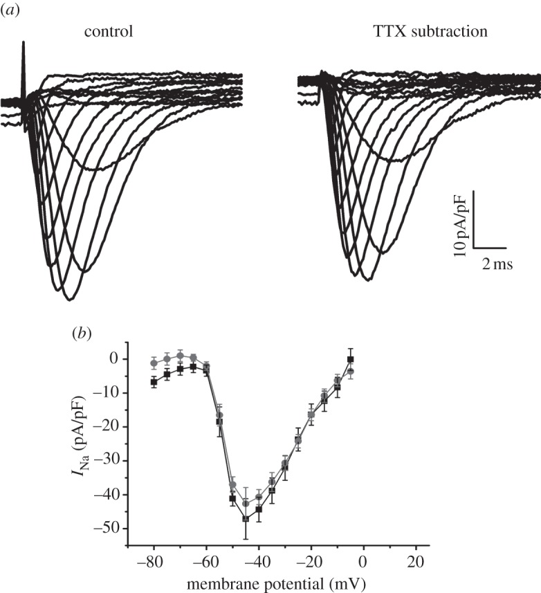 Figure 4.