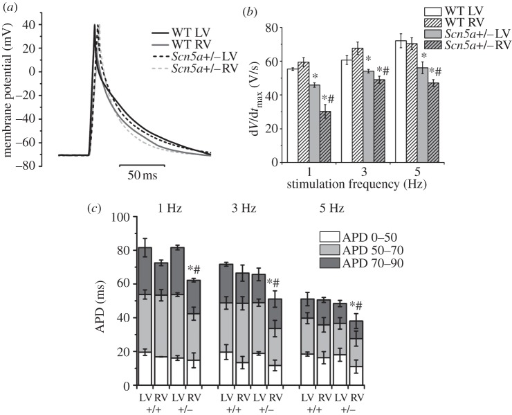 Figure 3.