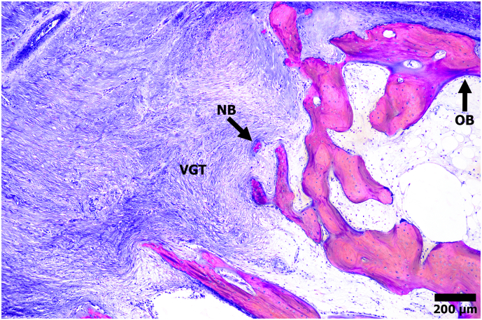 Fig. 8