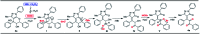 Scheme 5
