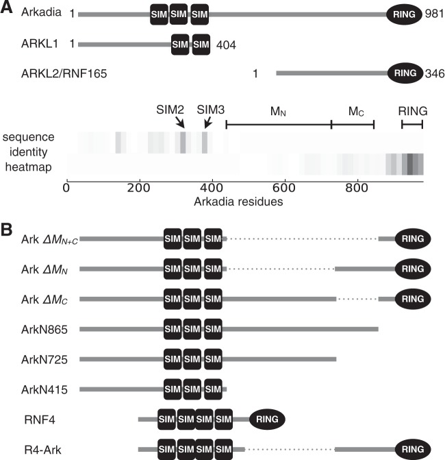 FIG 3