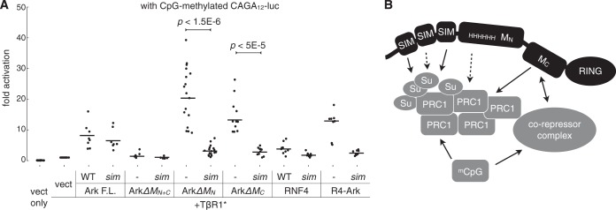 FIG 8