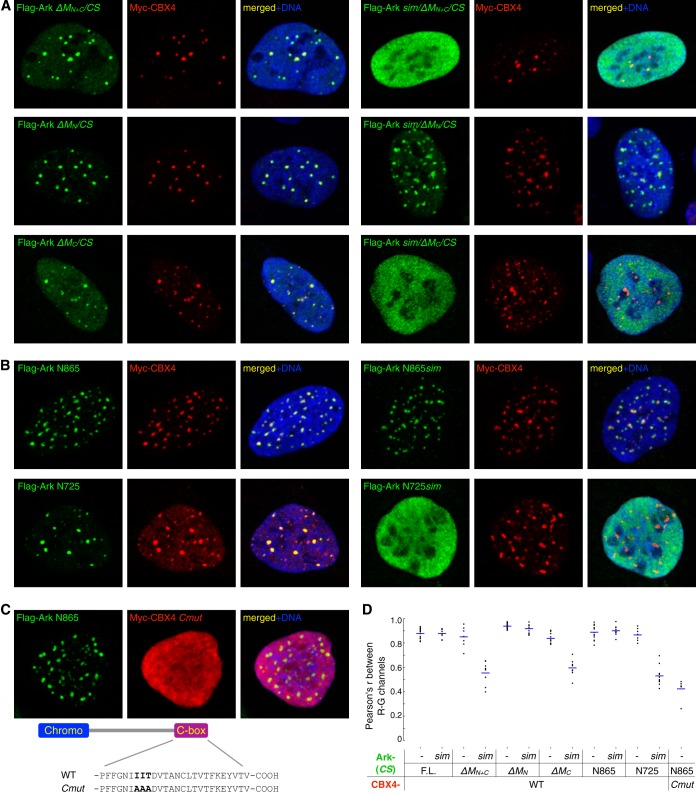 FIG 6