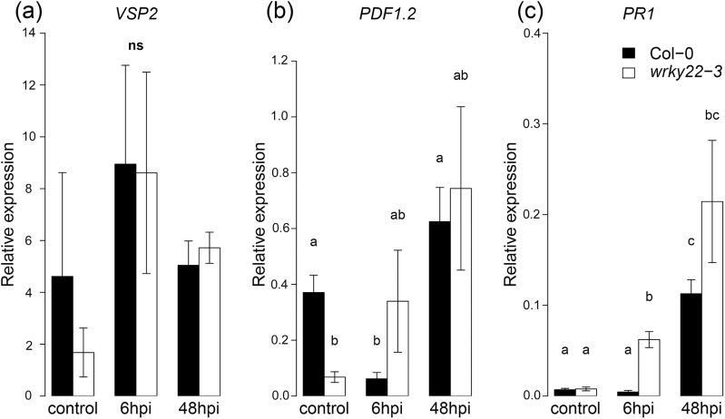 Fig. 8.