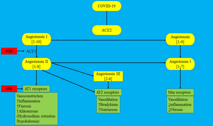 Unlabelled Image