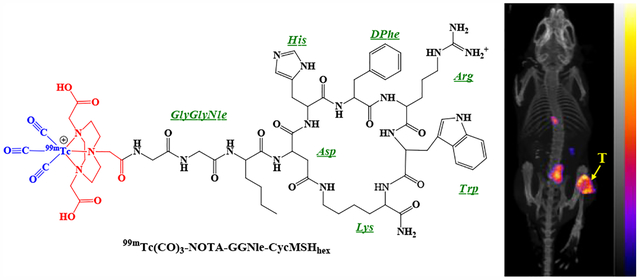 graphic file with name nihms-1611980-f0001.jpg