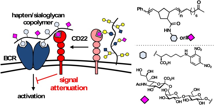 Fig. 4.