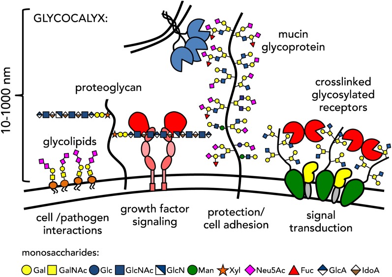 Fig. 1.