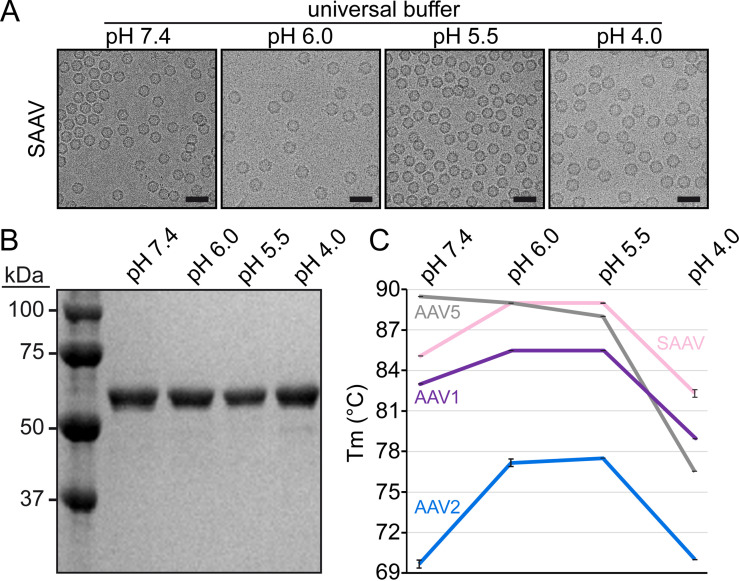 FIG 5