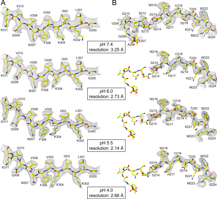 FIG 6