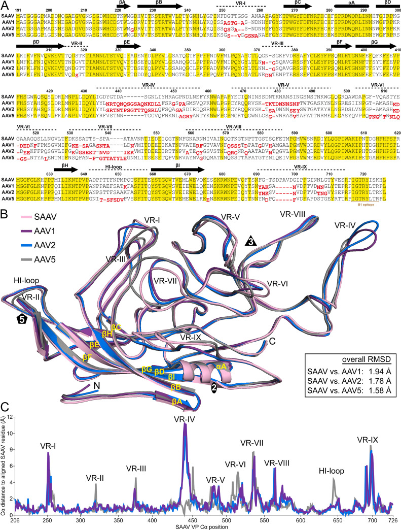 FIG 2