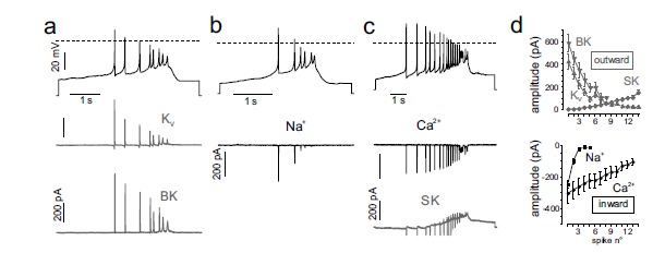 Fig. (6)