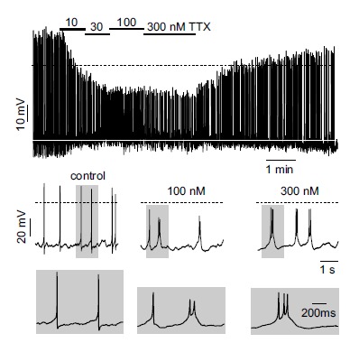 Fig. (4)