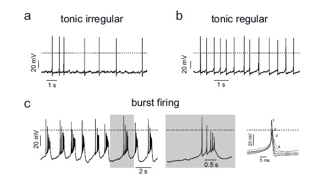 Fig. (1)