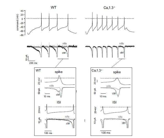 Fig. (2)