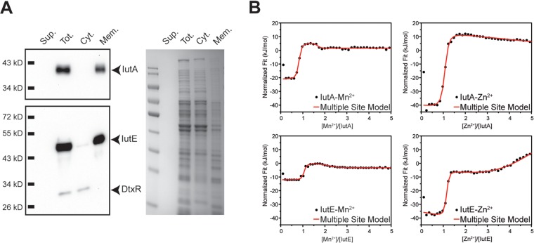 FIG 2