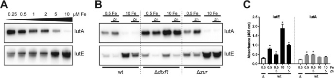 FIG 3