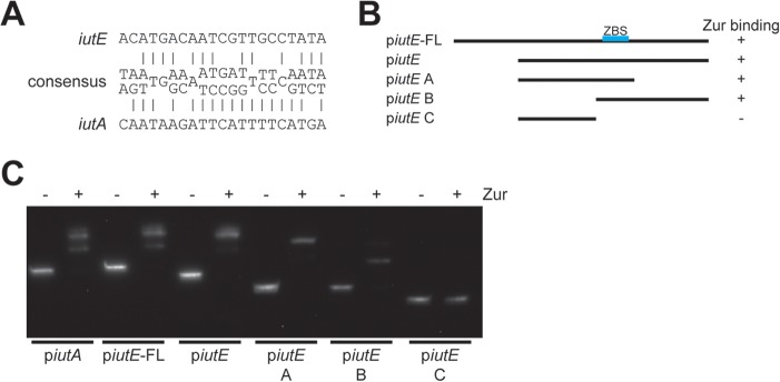 FIG 5