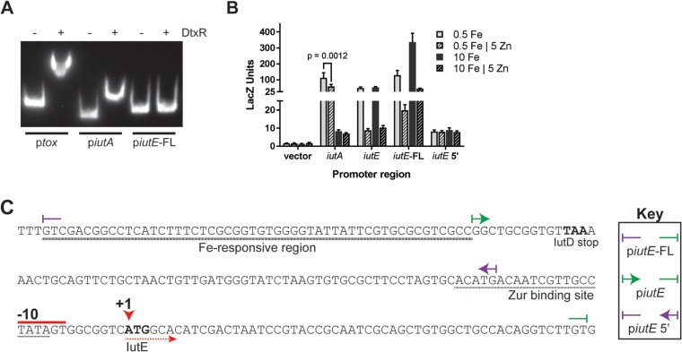 FIG 6