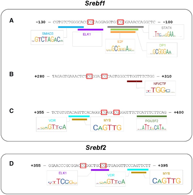 Figure 4: