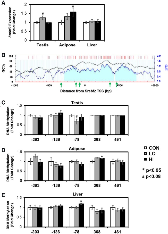 Figure 3: