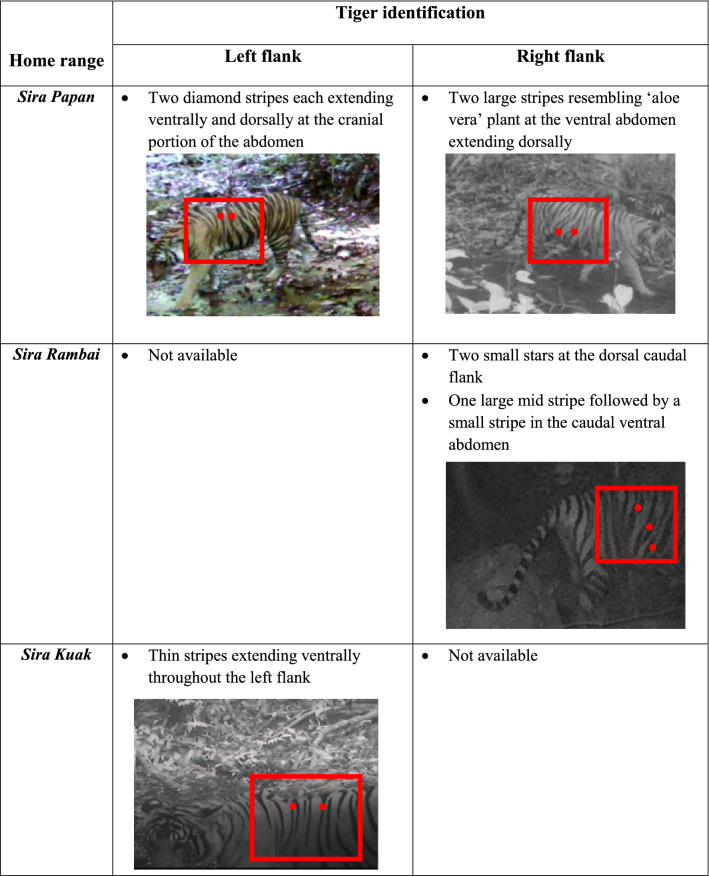 graphic file with name 41598_2021_89980_Tab3_HTML.jpg