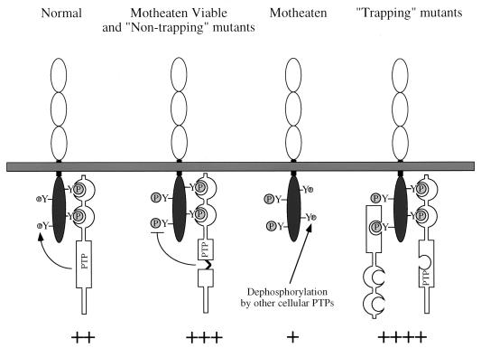 FIG. 7