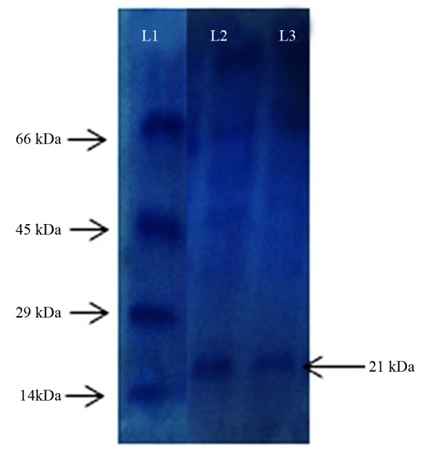 Figure 7.